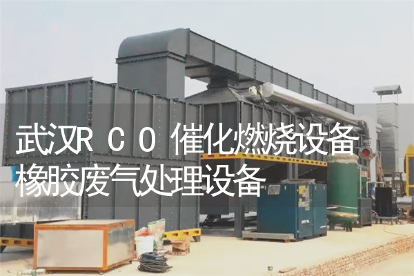 武汉RCO催化燃烧设备 橡胶废气处理设备